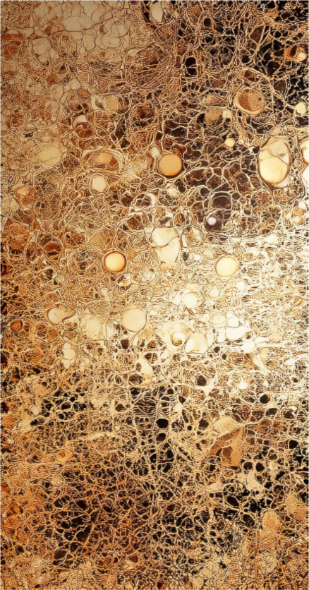 Main image Gold Leather