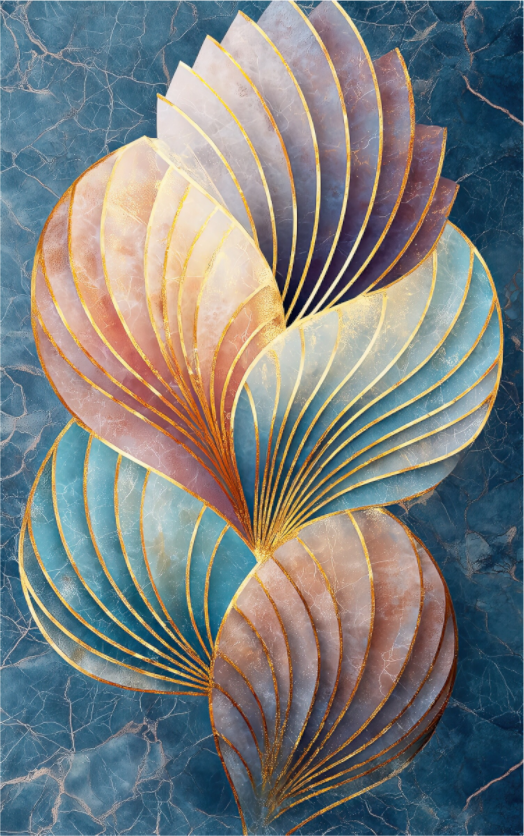 Main image Shells