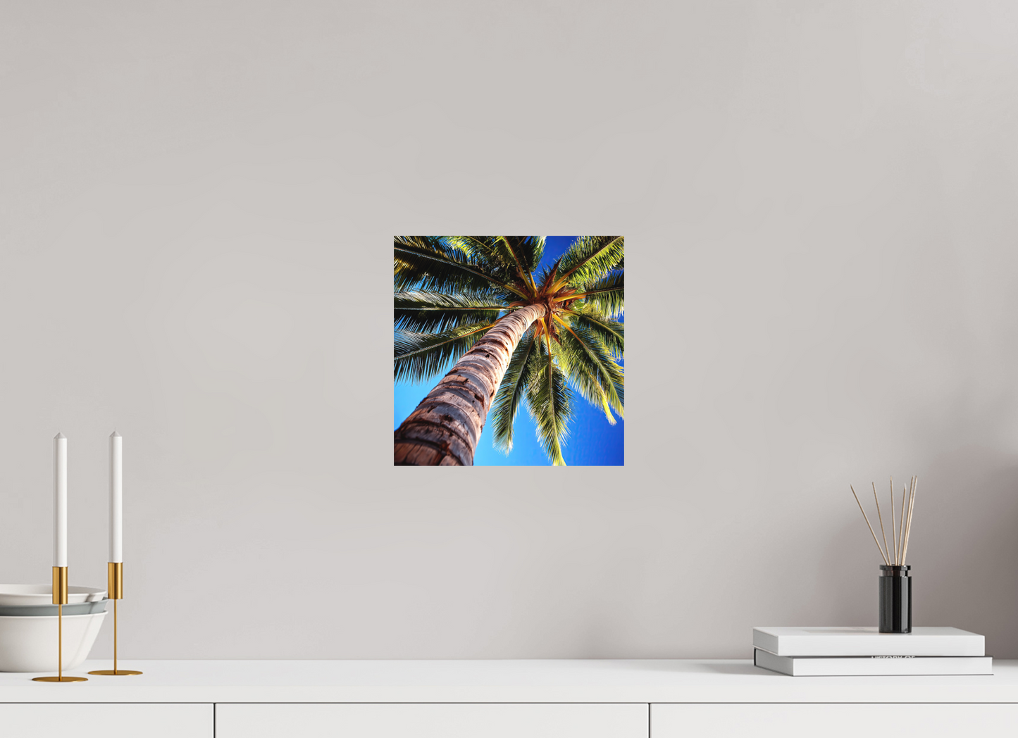 10 x 10″, Photo Print on Aluminum Backing Palm Tree