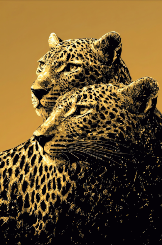 Main image Desert Cheetahs